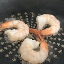 (주)동영상사 | 비행기 놓쳐서 쓰는 일상