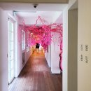 아미모텔 이미지