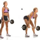 바디포 휘트니스 이미지