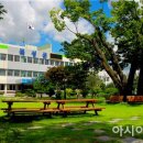 곡성-174 이미지