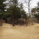 천연머리염색 이미지