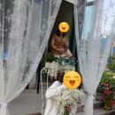 대전제일교회 앞 | 교회예배당에서의 결혼식에 대한 진솔한 후기