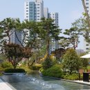 캡틴공인중개사사무소 이미지