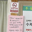 복음이네김밥만두 이미지