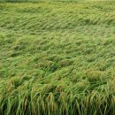 김상기농장 이미지