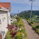 아테나펜션 이미지