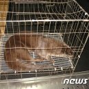 동부소방서 화장실 이미지