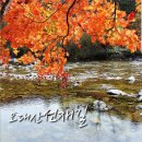 11월 9일. 천년의 옛길! 오대산 선재길 &amp; 비로봉의 단풍(4대기관 100명산) 이미지