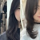 동영상 제작하기 | 춘천 레이어드컷 레이어드펌 전문 춘천미용실추천 | 춘천 레이어드펌 후기 '어센브헤어 춘천석사점'