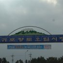 오일시장 이미지