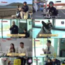 상승농장1 이미지