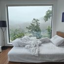 까미노데플로레스타2 이미지