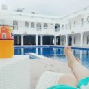 림스파마 이미지