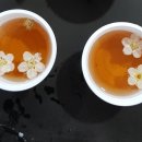 온요양병원 이미지