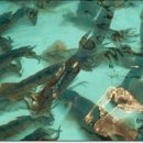 영진회관 이미지