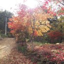 강변민박 이미지