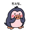 히든스튜디오