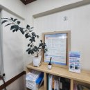 양문부동산공인중개사사무소 이미지