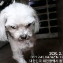 골든벨 노래연습장 이미지