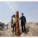 해명초교 이미지