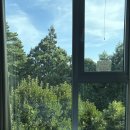 개덩이네 하우스 이미지