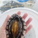 오느른 미 이미지