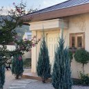 스테이더담 구미무을점 | [경북] 구미 스테이더담 - 구미무을점