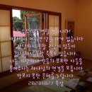 여수동백악기