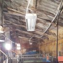 신영농장 이미지