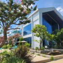 카페라임 이미지