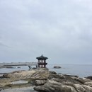 속초 가볼만한곳 <영금정> 주차, 입장료, 해돋이 명소 / 물회맛집 <완도회식당> 평일 웨이팅 후기