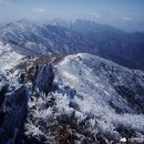 제59차 2019년1월09일 (수욜)전북 무주 덕유산 명품 눈꽃산행 이미지