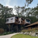 대빵하우스 | 수락휴에서 마주한 고요한 하루 / 트리하우스(어린왕자) 예약 및 방문 후기