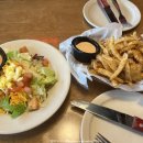 칵투스 아일랜드 이미지