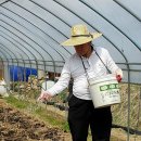 명심농장 이미지