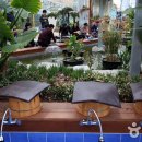 알로에테마파크 이미지