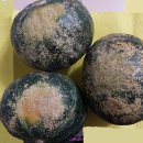 Re: 🚨📣⚠️먹고 마시는 모든 것에 기름을 부으라 &amp; 종말/맨 마지막시대; 단호박을 샀는데 더 이상 전에 먹던 단호박이 아닙니다 이미지