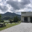 베지나랑 이미지