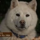 5월의 스위스 일상