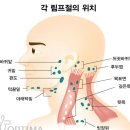 시솔