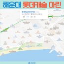 좌동 더마트 앞 네이버블로그
