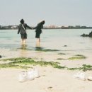 등나무 운동장 이미지