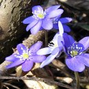 삶의 이야기가 있는 집 이미지