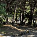세종대왕자태실 관광안내소 | [23.10.16.월] 경북 성주(세종대왕자 태실, 성산동고분군)