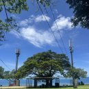 웍스랩 | 괌여행 다이슨 에어랩 대여 110V 전압 트래블웍스 렌탈 후기