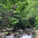 설천면109 이미지