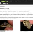 아크리스 이미지