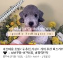 하이엔드 멍 이미지