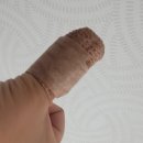 세종드림연합의원 이미지