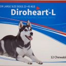 도담동물약국 이미지